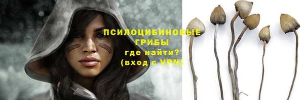 дживик Кукмор