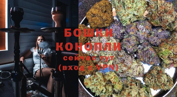 дживик Кукмор